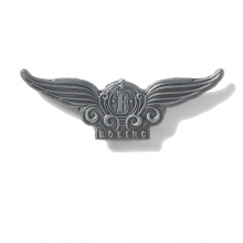 Boeing Stylized Wings Pin