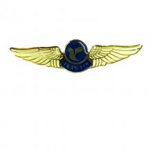 Iran Air Wing - Small