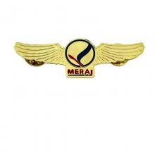 Meraj Airlines Wings
