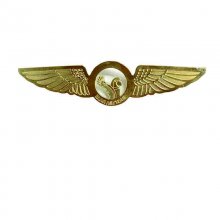 Iran Air Tours Wings